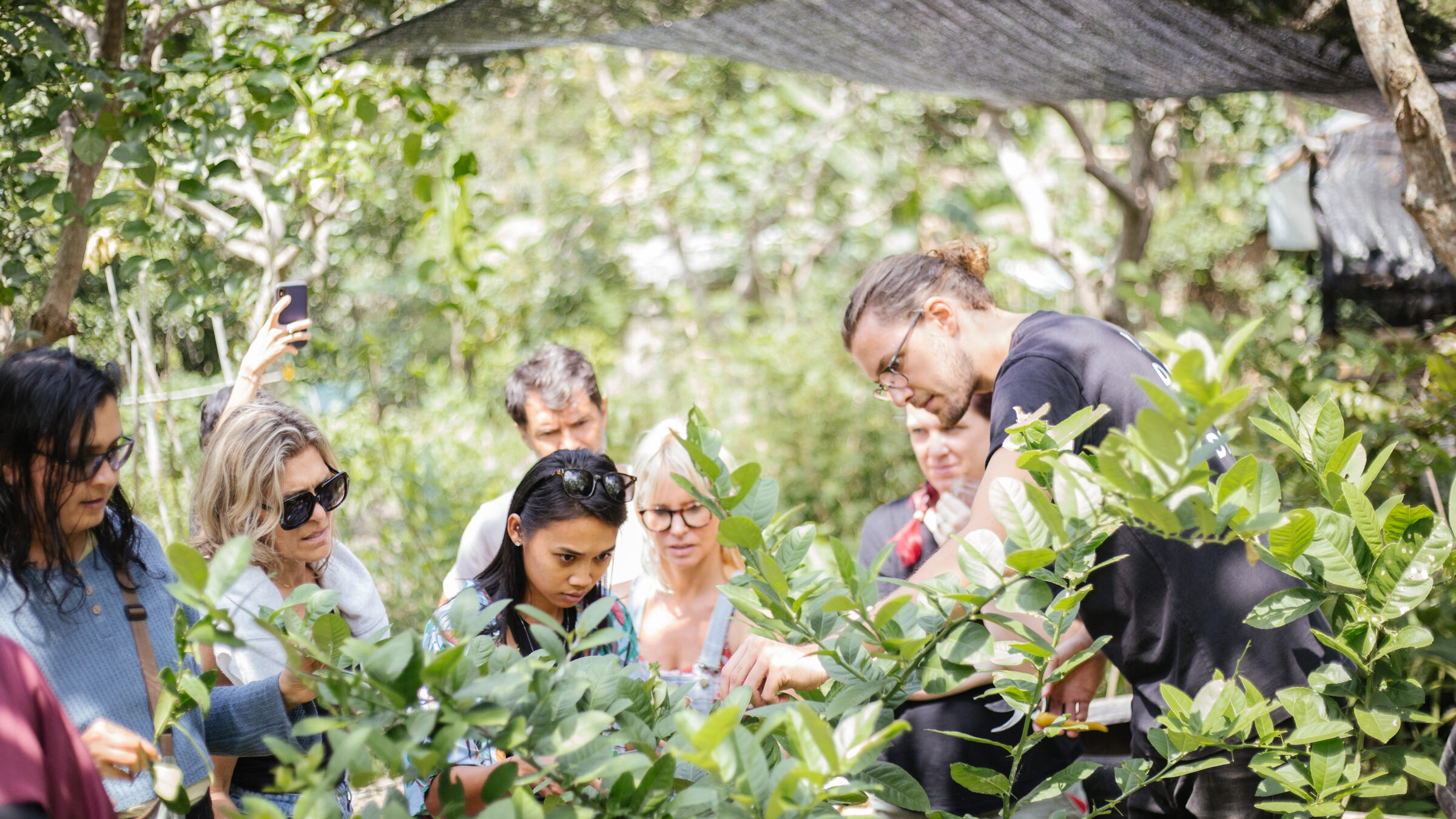 A workshop group gathered around green plants, learning together.