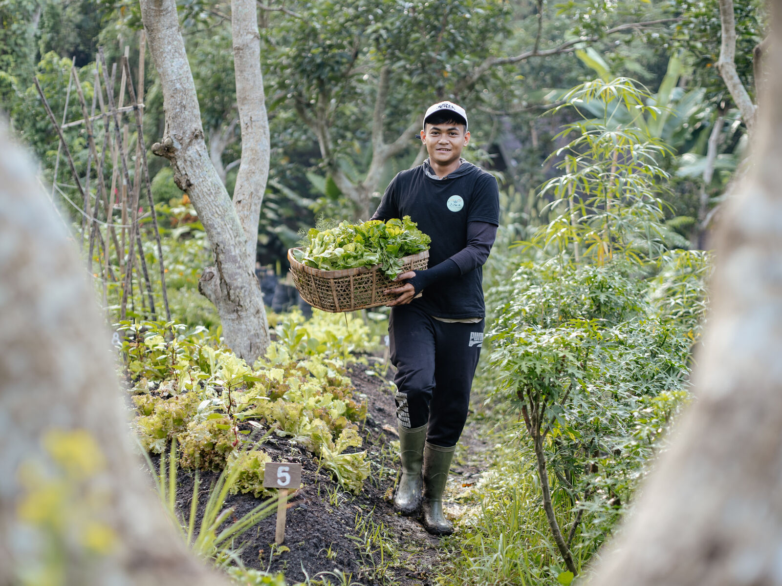 A farmer in boots carrying a basket of fresh greens down a garden path.