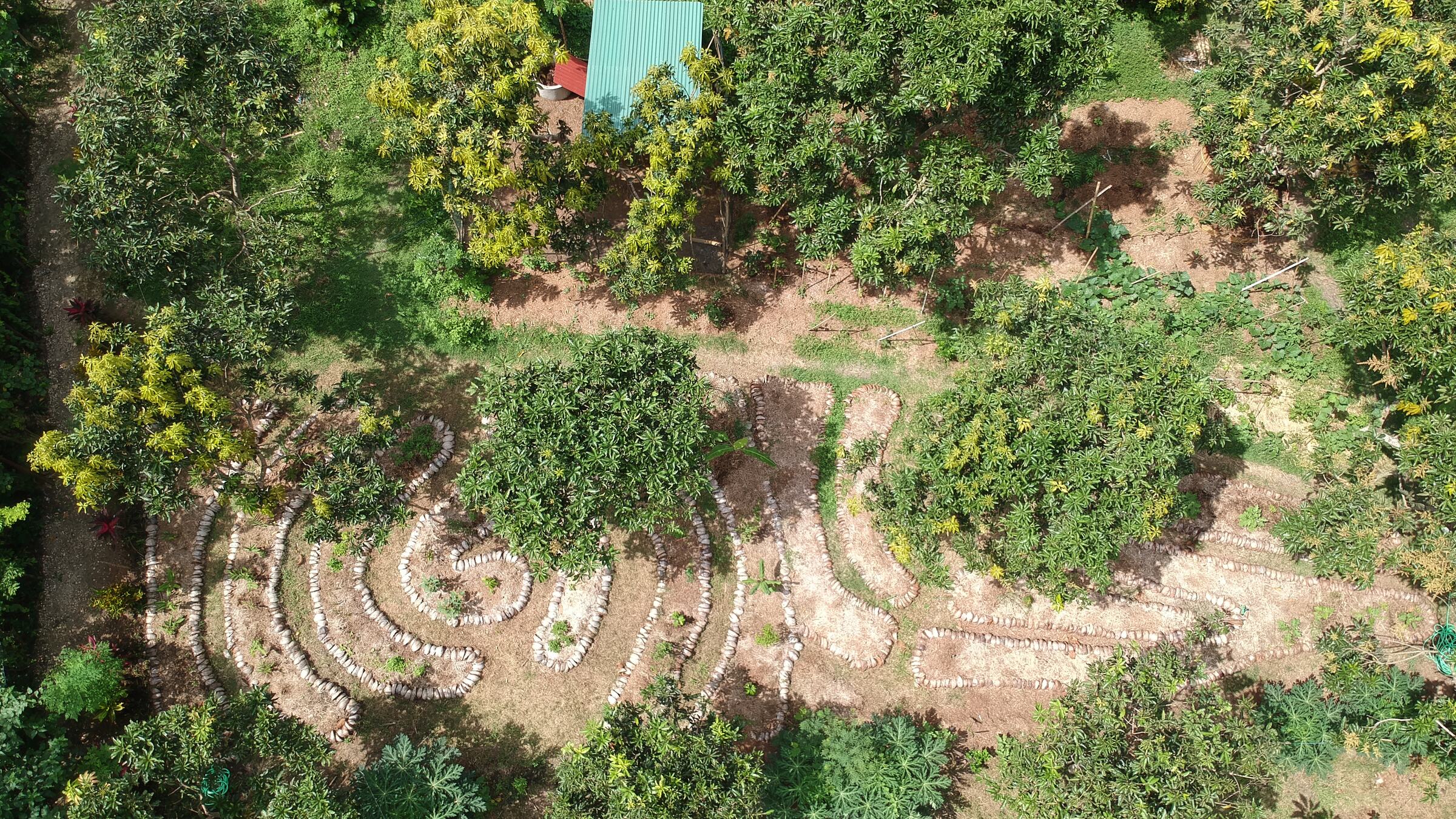 Aerial view of a spiral herb garden and fruit trees at Jiwa.