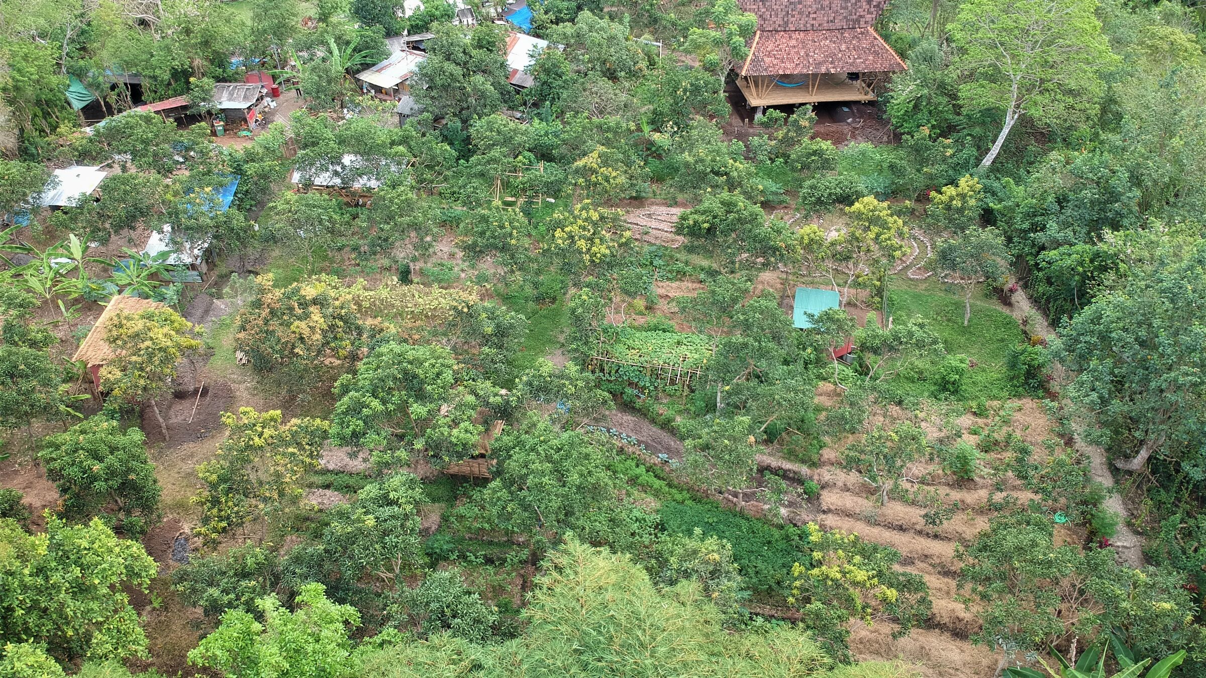 Aerial view of Jiwa Garden: terraced gardens and a traditional wooden house among the trees.