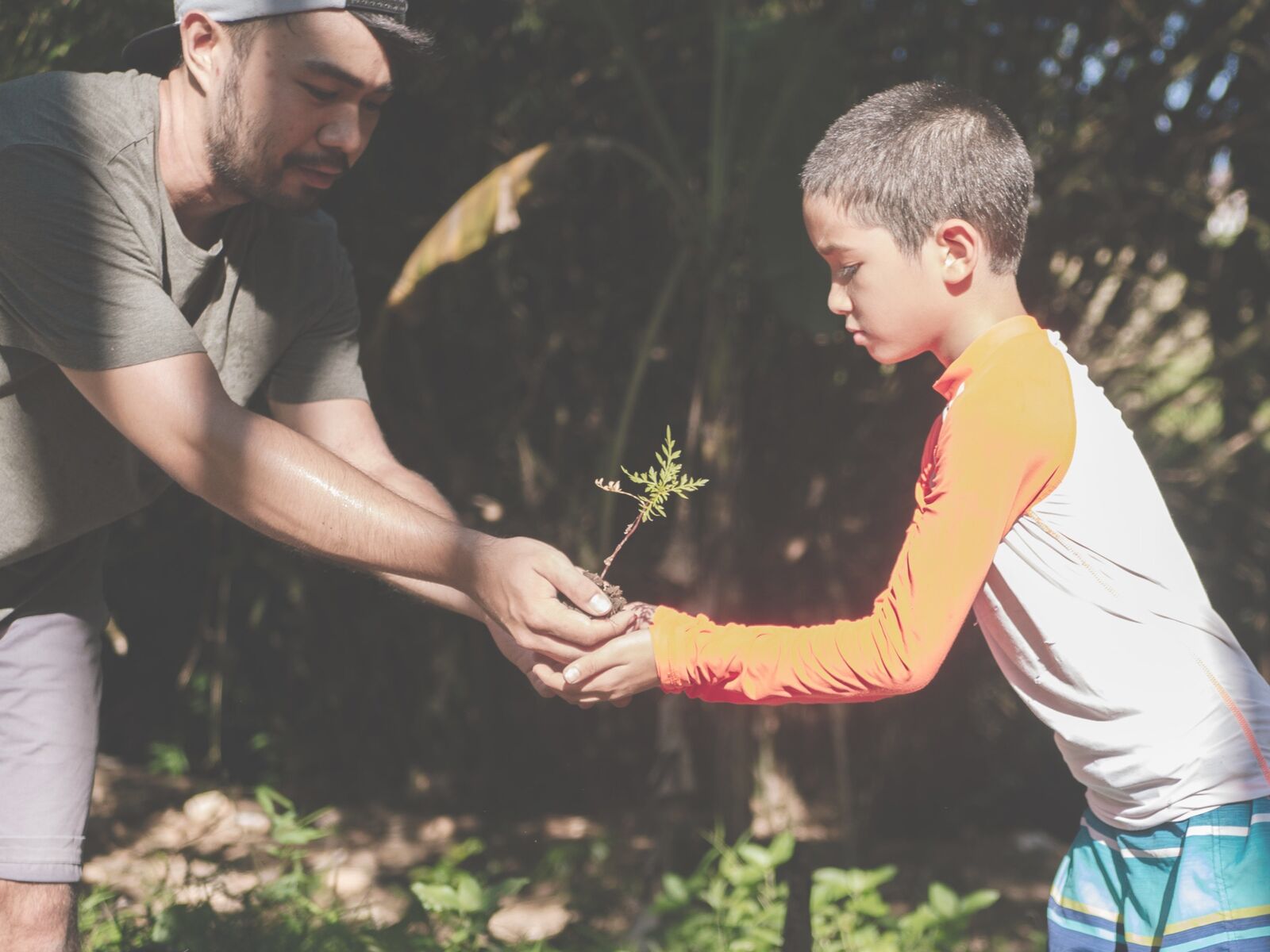 A father and his son planting a seedling together in the garden.